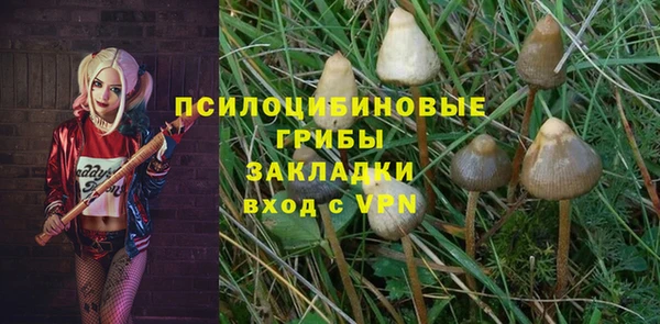 амф Белокуриха