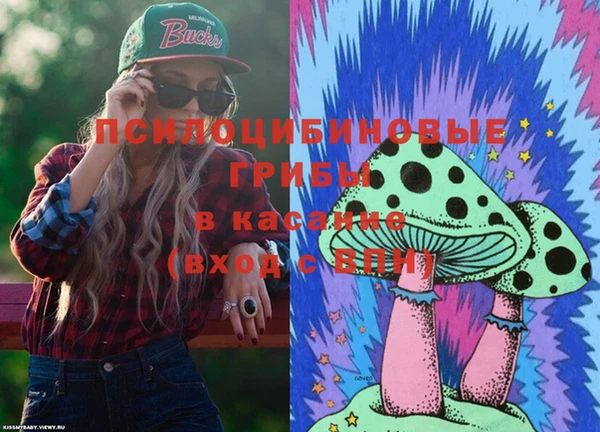 амф Белокуриха